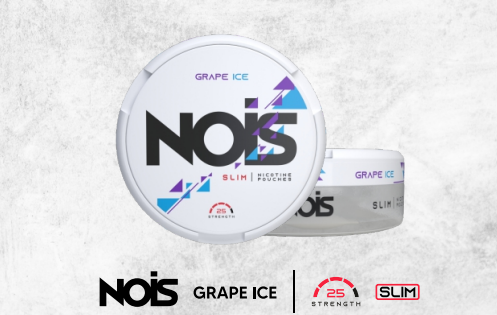 NOIS GRAPE ICE 25mg, 1 Can de 22 Pouches