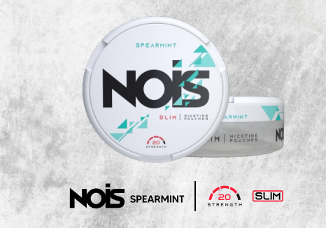 NOIS SPEARMINT 20mg, 1 Can de 22 Pouches