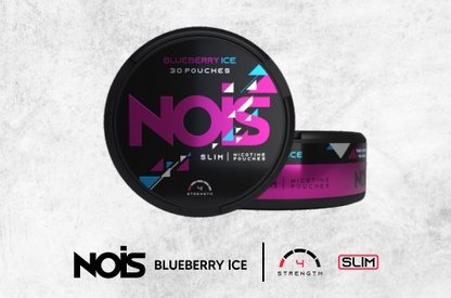 NOIS BLUEBERRY ICE 4mg, 1 Can de 30 Pouches